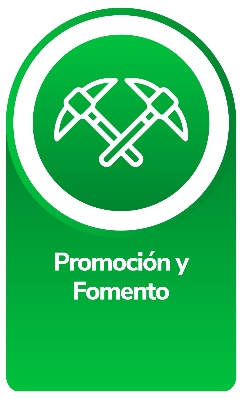 Promocion y Fomento